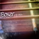 라온제나 이미지