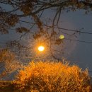 (주)써지케어 | 첫눈, 시린 겨울_여수 여행, 올리브영 세일