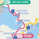 연포 주차장 이미지