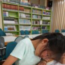 대구성동초등학교 이미지