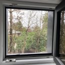 팽나무 펜션 이미지