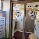 수원-0324 이미지