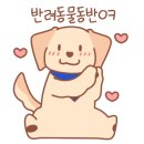 블루네일&속눈썹 이미지