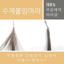 안동라라샵 이미지