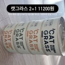 러브앤펫 | 2026년 가낳지모 캣페어 후기, 주차, 쇼핑하울