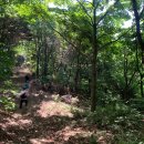 바람고개길 | 5월 용문산 등산코스｜배너미고개 코스로 가섭봉 다녀온 후기