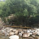 웃냇물펜션 이미지