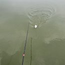 송라손맛터 이미지