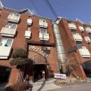 그린모텔 | 묵호 동해의 고양이가 반겨주는 가성비 숙소 귀빈모텔 후기