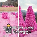 포천 허브아일랜드 후기🌿 핑크모래 썰매부터 아이랑 하루 코스 추천