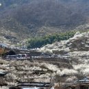 수성동019 이미지