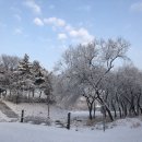 아침에풍경 이미지