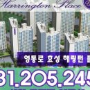 서천효성공인중개사사무소 네이버블로그