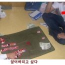 고기구워 - 고성군 거탄진로 144 | 고기구워