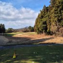 롯데스카이힐제주CC(대중형 18홀) | 제주도골프여행 필수 코스, 롯데스카이힐 제주CC 12월 라운드 솔직 후기