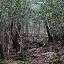 한라산둘레길안내센터 이미지