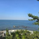 나정2리 이미지