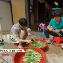 삼시세끼 예고 이미지