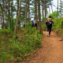 솔향기 쉼터 이미지