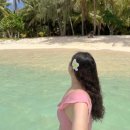 하파데이와 떠나는 음악Y행 | 사이판 마나가하섬 준비물 매점 거북이 스노클링 호핑투어