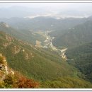 수덕목장 Daum카페