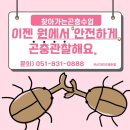평산초등학교병설유치원 이미지