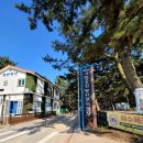 몽산포 야영장 | 2025년 6월14일 몽산포 국립공원 야영장 후기