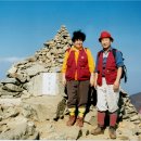 인서농장 이미지