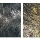 다모드림의원 이미지