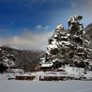 꼴두바우 이미지