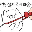 덕일상사 이미지