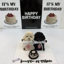 댕댕이네 | 천안 성정동 댕댕이네 강아지 생일케이크 주문제작 후기