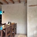 정희애견 이미지