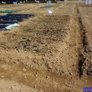 계룡농장 이미지