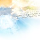 신천지PC 이미지