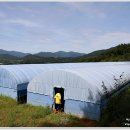 임마누엘팜 이미지