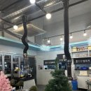 778양꼬치 이미지