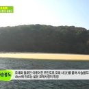 그물집 민박 이미지