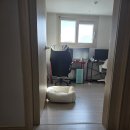 벨롱 펫 그루밍 | [부산 김해 양산 창원]경계심 많은 고양이를 돌본 펫시터의 좌충우돌 이야기