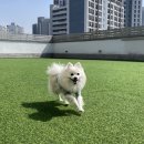 놀러오개 이미지