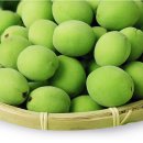 옥구농협마트 | 광양 청매실 예약 판매중!6/3부터 발송예정