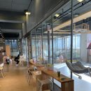 고양이카페38.5 이미지