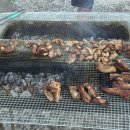 뉴환상민박 이미지