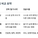 관목(灌木, Bush, 떨기식물)과 덩굴(Vine)의 차이 이미지