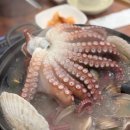 남한강매운탕 | 인덕원역술집 남한강매운탕&amp;홍대포 본점 문어연포탕 후기