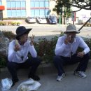 도대교회 이미지