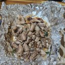 대왕곰장어 이미지