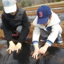 수민농장 이미지