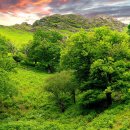 초록풍경 이미지