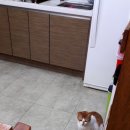 인사호스텔 이미지